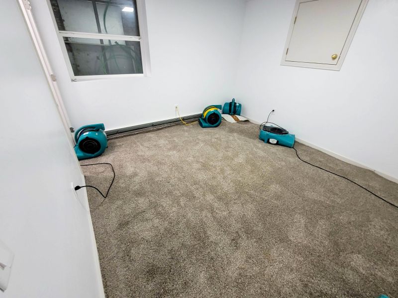 Specialty Carpet Restoration Experts